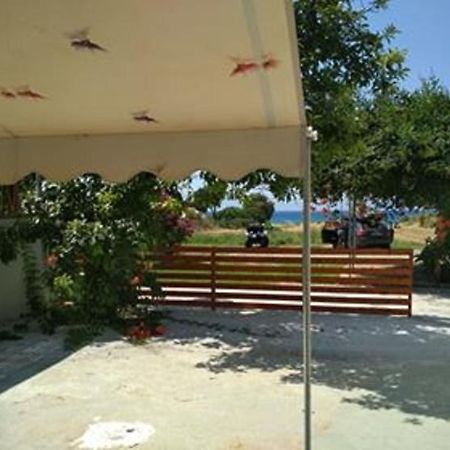 Kitesurf Paradise Studios Theológos Eksteriør billede