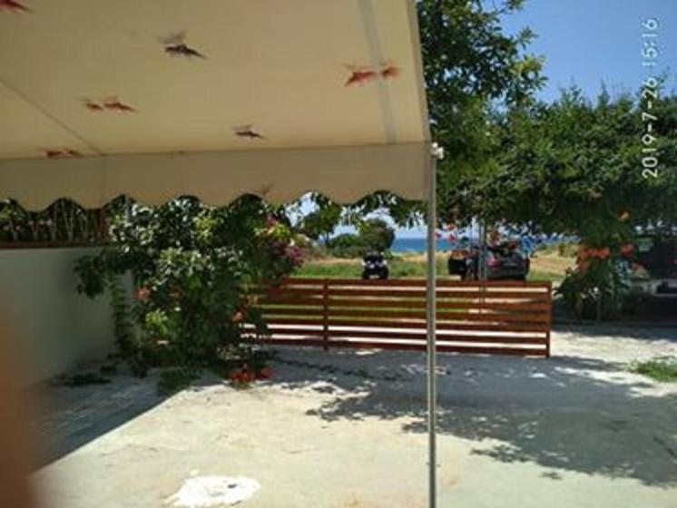 Kitesurf Paradise Studios Theológos Eksteriør billede